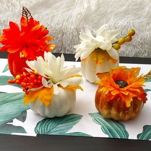 Cute Pumpkin Set